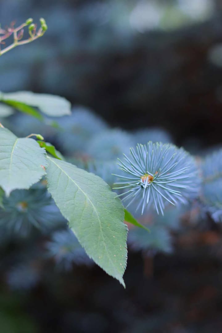 E.Adamczyk nagrodzone