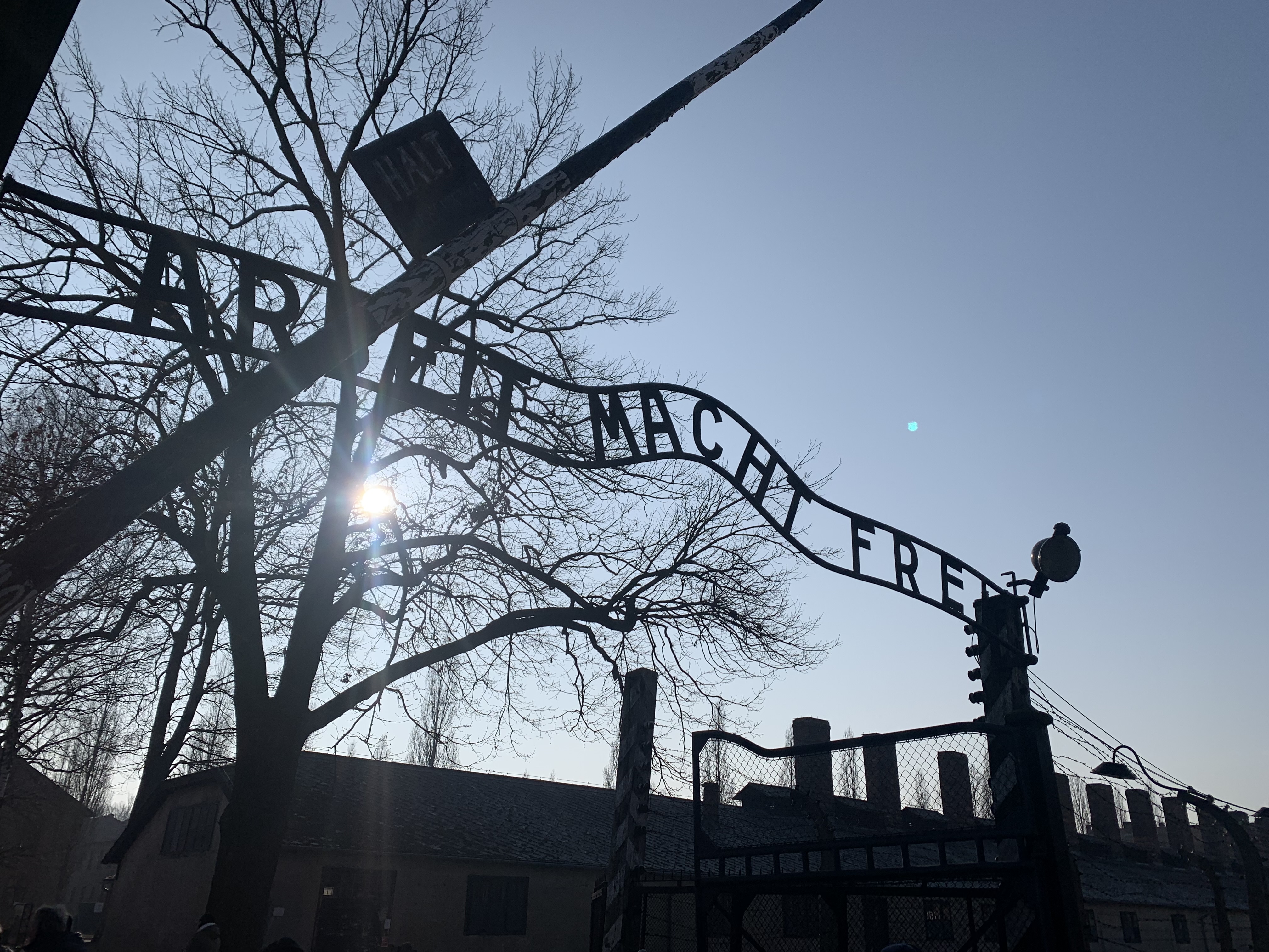 Auschwitz3