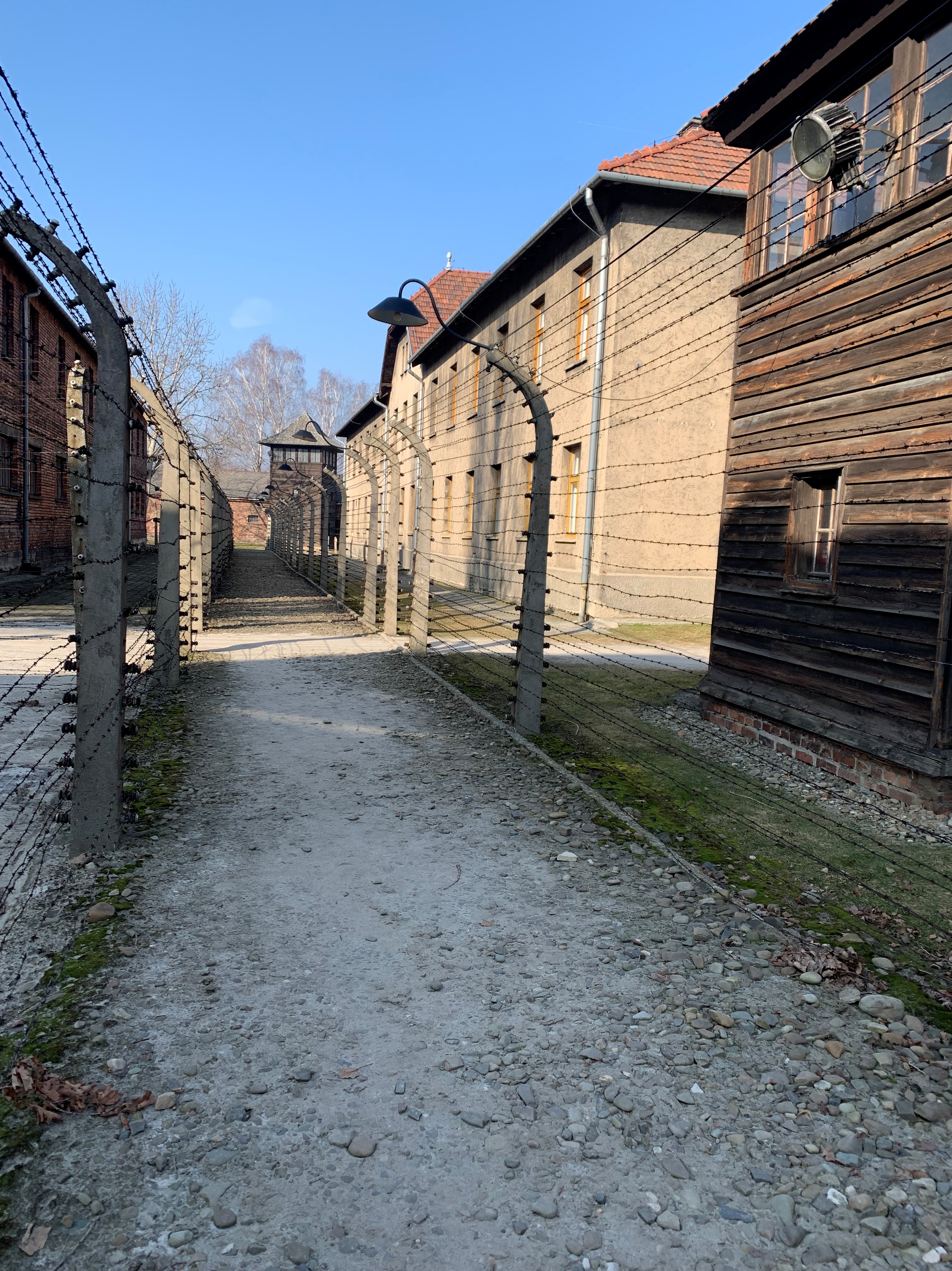 Auschwitz8