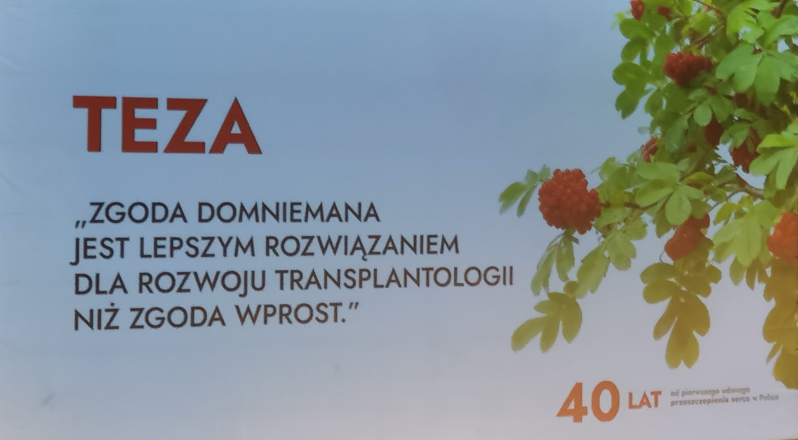 przeszczep4